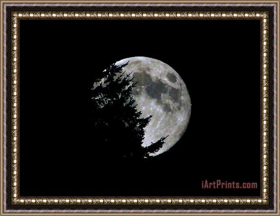 Blair Wainman Full Moon Silhouette Framed Print