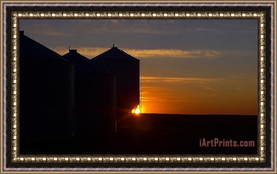 Blair Wainman Harvest Sunrise Framed Painting