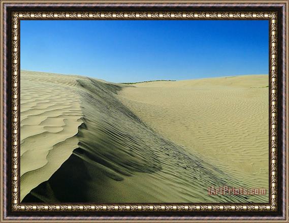 Blair Wainman Shifting Sands Framed Painting