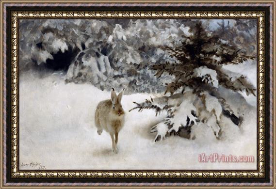 Bruno Andreas Liljefors A Hare In The Snow Framed Print