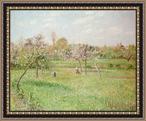 Camille Pissarro Apple Trees at Gragny Framed Painting