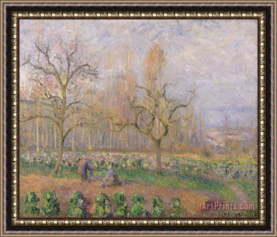 Camille Pissarro Orchard At Pontoise Framed Print