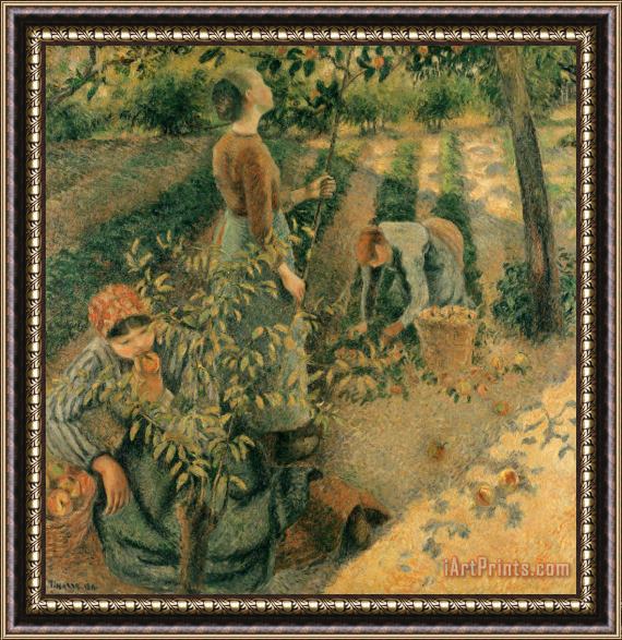 Camille Pissarro The Apple Pickers Framed Painting