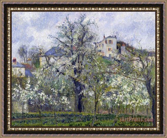Camille Pissarro The Vegetable Garden with Trees in Blossom, Spring, Pontoise Framed Painting