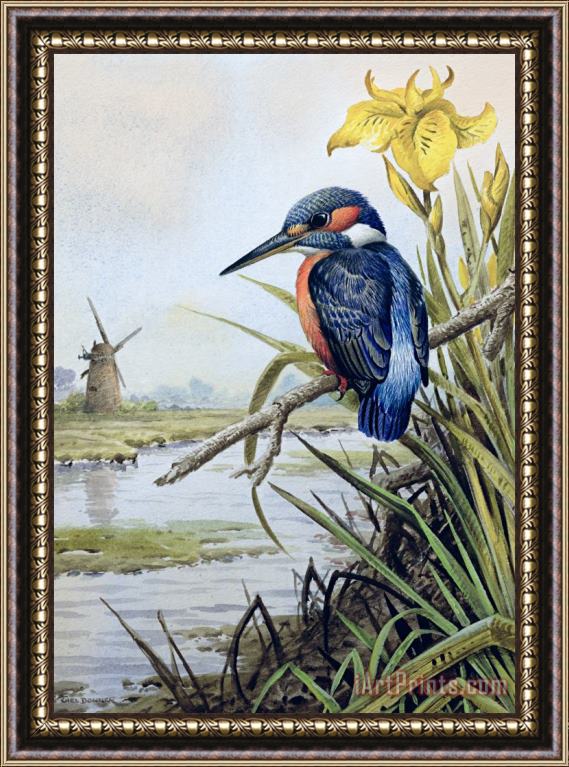 Carl Donner Kingfisher with Flag Iris and Windmill Framed Painting
