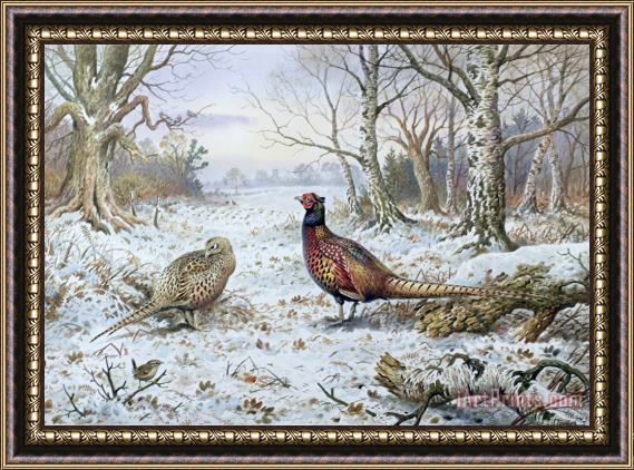 Carl Donner Pair of Pheasants with a Wren Framed Print