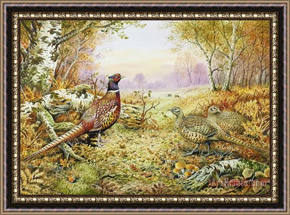Carl Donner Pheasants in Woodland Framed Painting