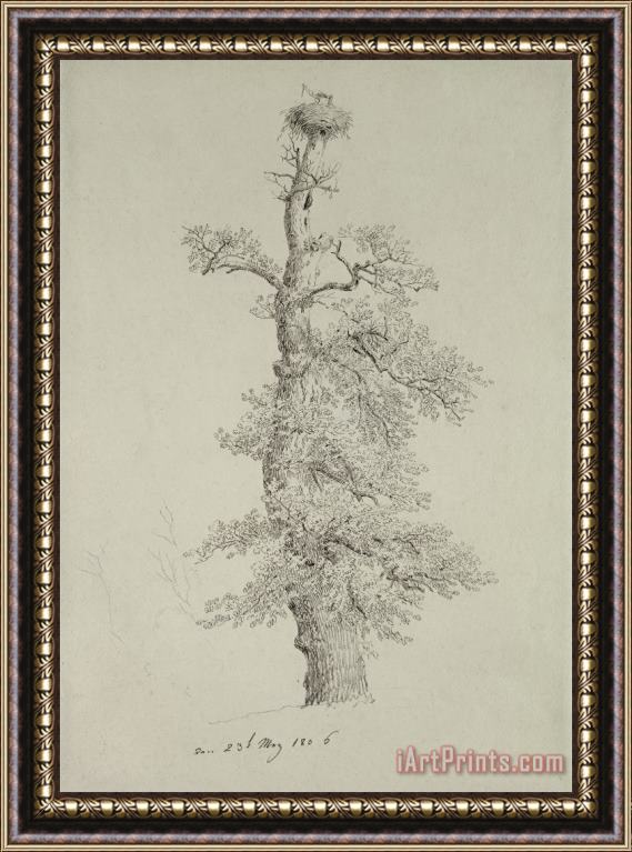 Caspar David Friedrich Ancient Oak Tree With A Storks Nest Framed Painting