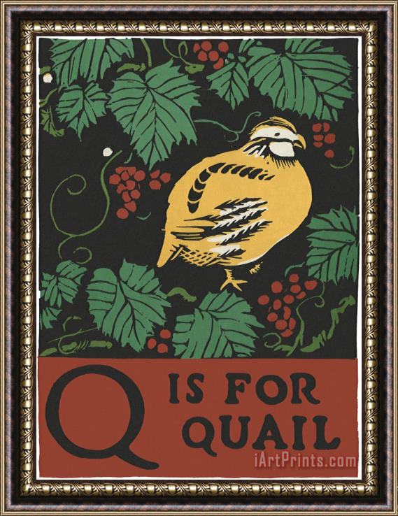 C.B. Falls Alphabet: Q Is for Quail Framed Print