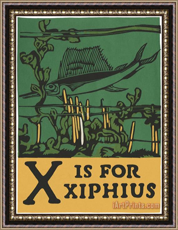 C.B. Falls Alphabet: X Is for Xiphius Framed Painting