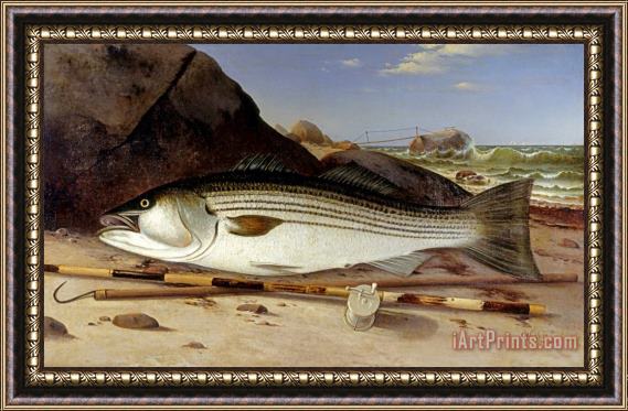 Charles Henry Gifford Striped Bass on Cuttyhunk Island, 1870 Framed Painting