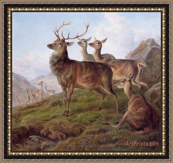 Charles Jones Red Deer in a Highland Landscape Framed Print