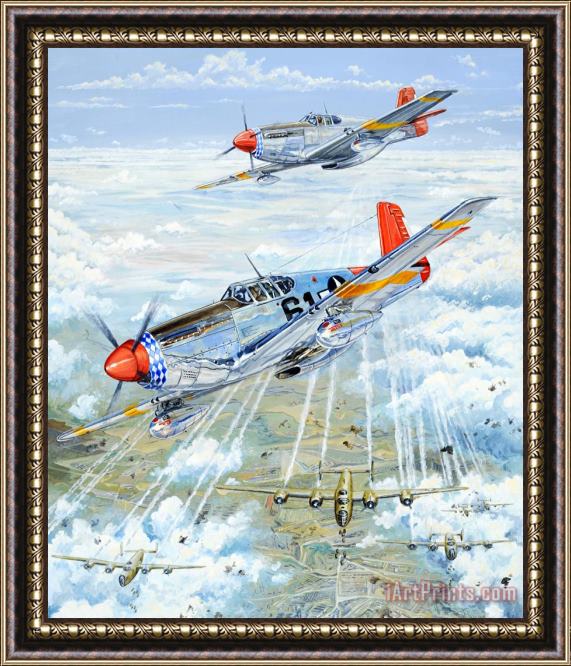 Charles Taylor Red Tail 61 Framed Print