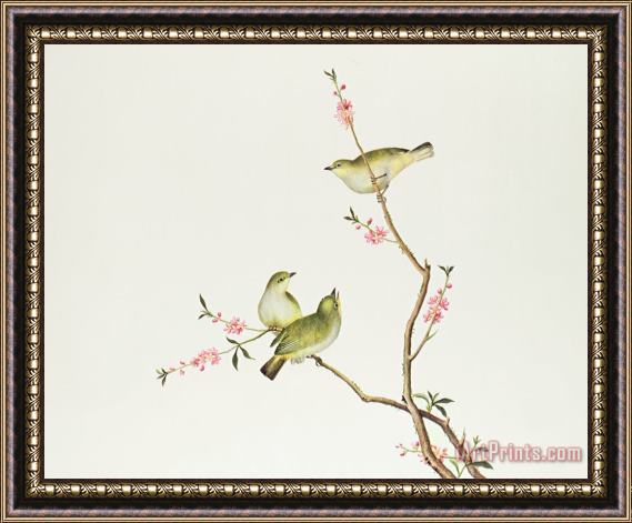 Chinese School White Eye Bird Framed Painting