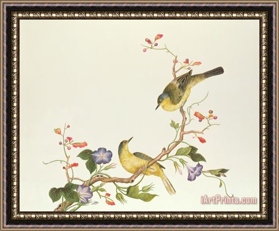 Chinese School Yellow Wagtail With Blue Head Framed Print