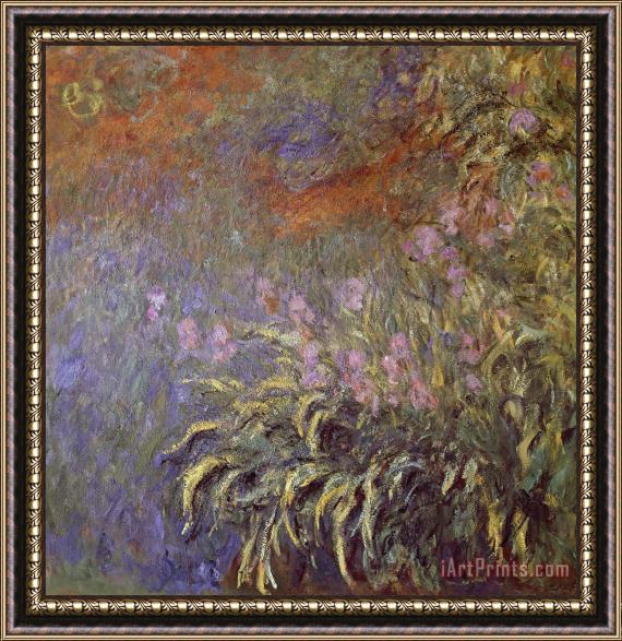 Claude Monet Iris In Pond Framed Painting
