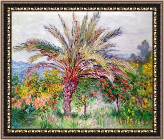 Claude Monet Palm Tree at Bordighera Framed Painting