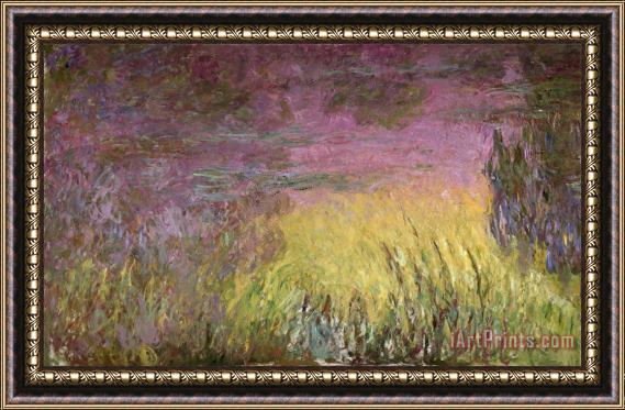 Claude Monet Waterlilies at Sunset Framed Painting