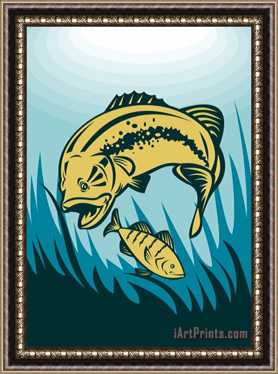 Collection 10 Largemouth Bass Preying On Perch Fish Framed Painting