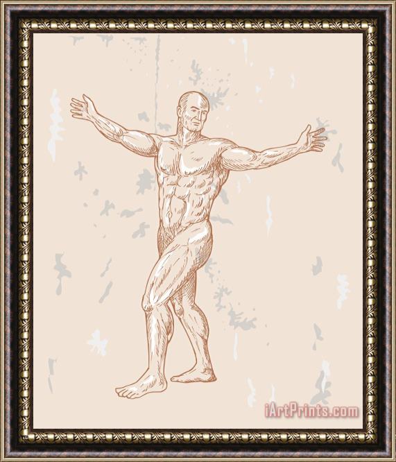 Collection 10 Male Human Anatomy Framed Painting