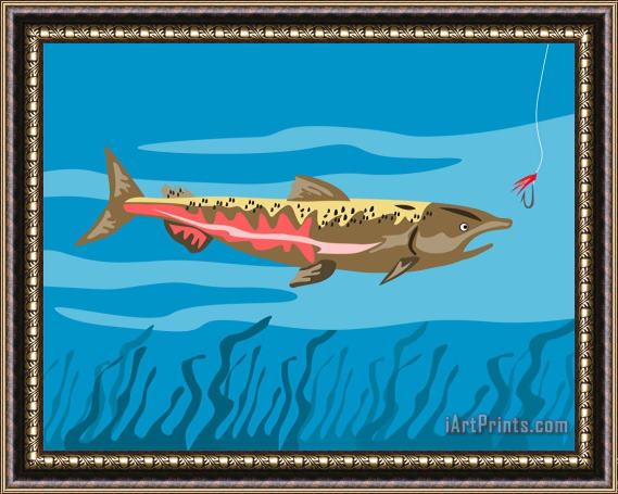 Collection 10 Trout Fish Retro Framed Print