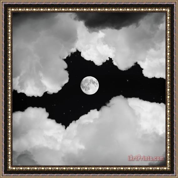 Collection 11 Moonlight Framed Print