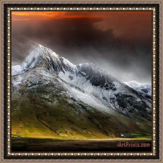 Collection 11 Profound Beauty Framed Painting