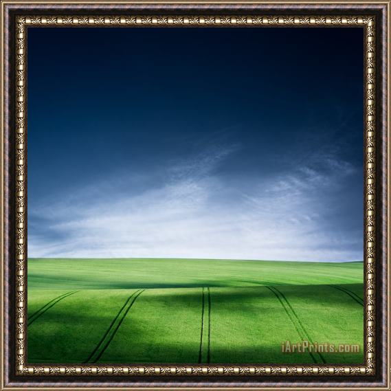 Collection 11 Quiet Life Framed Painting