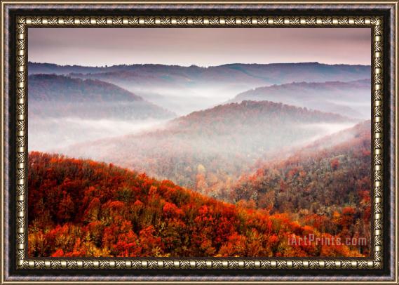 Collection 12 Autumn Fogs Framed Painting