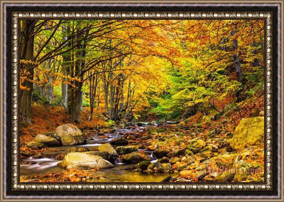 Collection 12 Autumn Landscape Framed Painting