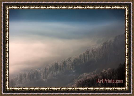 Collection 12 Cold Touch Framed Print