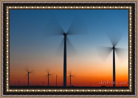 Collection 12 Fans in Twilight Framed Painting