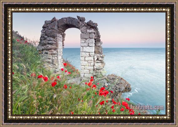 Collection 12 Gate in the Poppies Framed Painting
