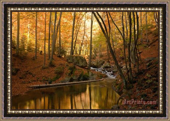 Collection 12 Golden River Framed Painting