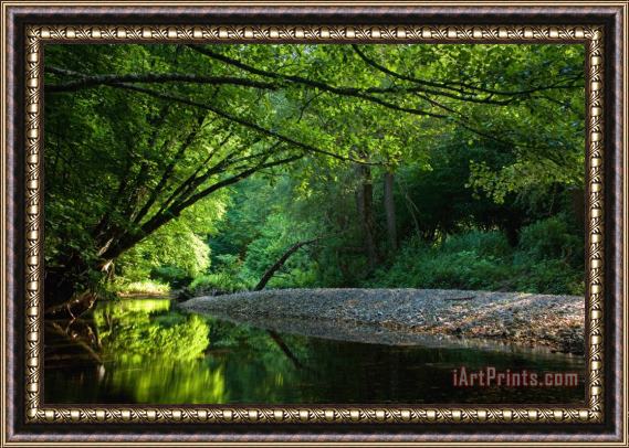Collection 12 Green River Framed Print