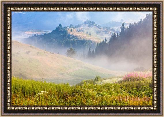 Collection 12 Perfect morning Framed Painting