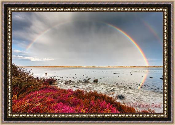 Collection 12 Rainbow by the Lake Framed Painting