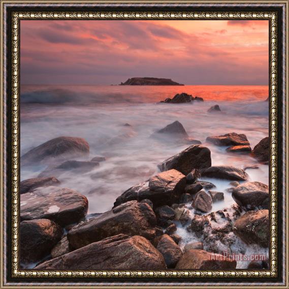 Collection 12 Snake's Island Framed Painting