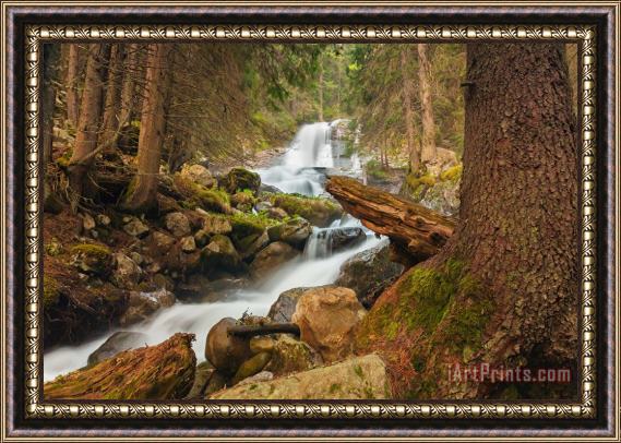 Collection 12 Spring Waterfall Framed Print
