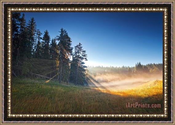 Collection 12 The Charm of Sunrise Framed Print