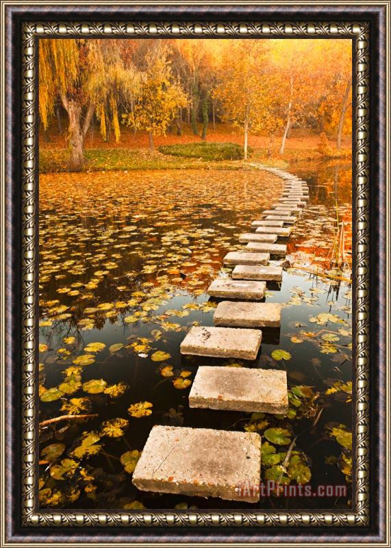 Collection 12 Way in the Lake Framed Print