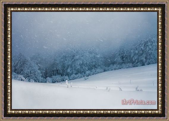 Collection 12 Winter Blizzard Framed Print