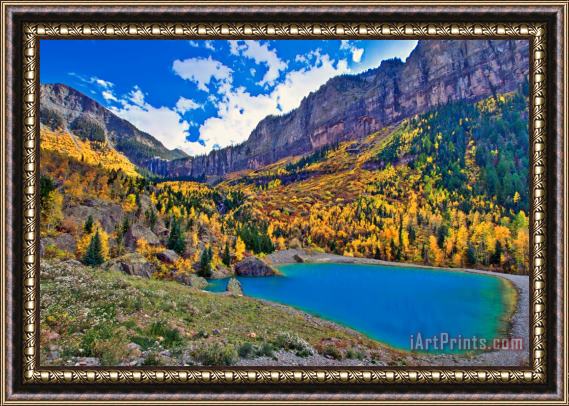 Collection 14 Autumn Colors Framed Painting