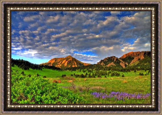 Collection 14 Boulder Spring Wildflowers Framed Painting