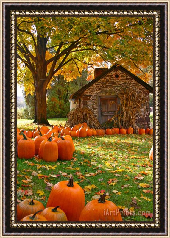 Collection 14 Bucks County in the Fall Framed Print