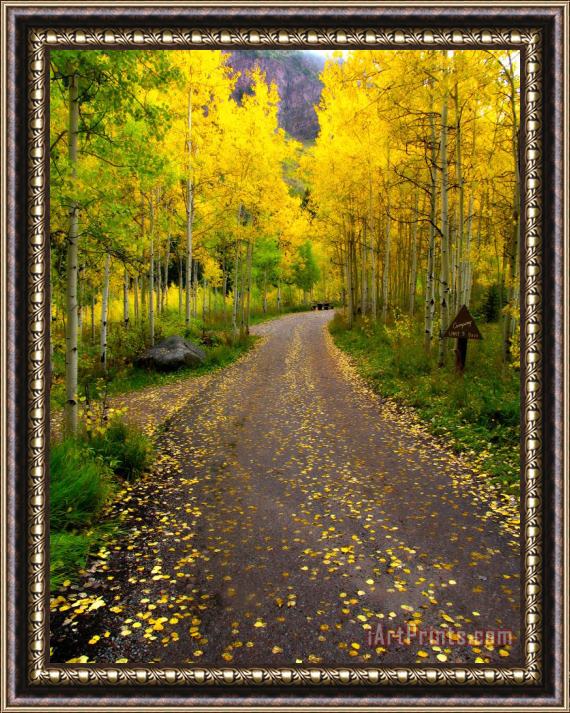 Collection 14 Fall Dream Framed Painting