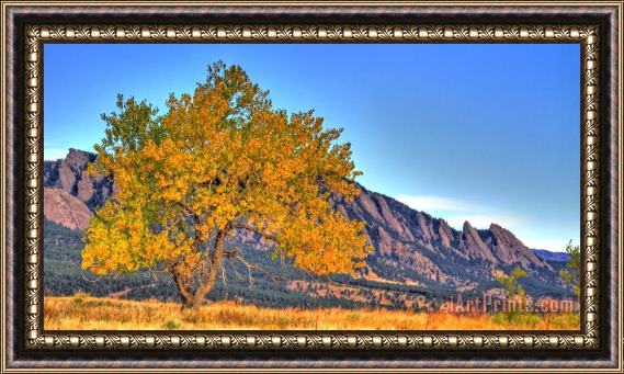 Collection 14 Fall in the Flatirons Framed Print