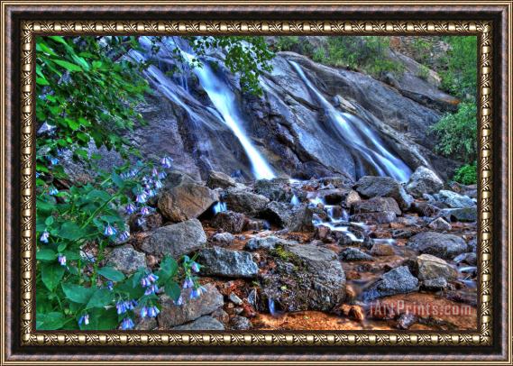 Collection 14 Falls and Wildflowers Framed Painting