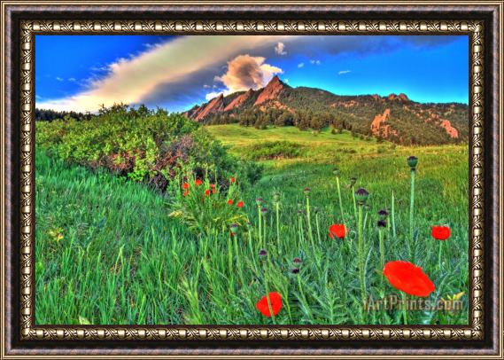 Collection 14 Flatirons and Poppies Framed Painting