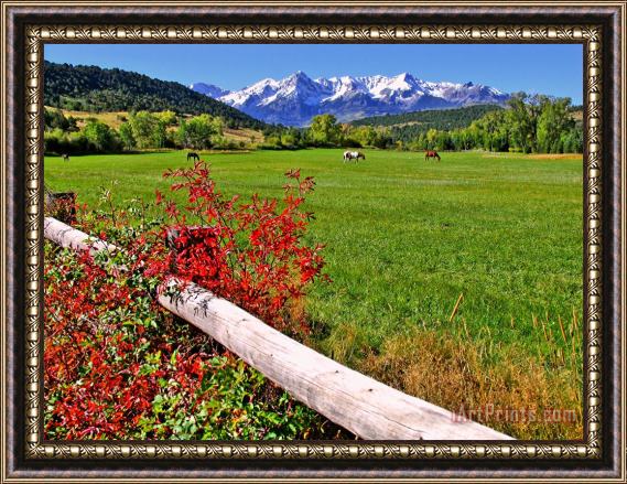 Collection 14 Horses in The San Juans Framed Painting